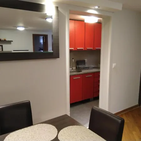 Apartment Dedinje *