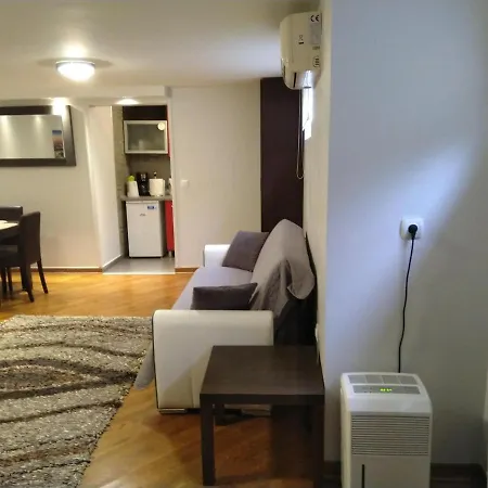 Dedinje Apartment